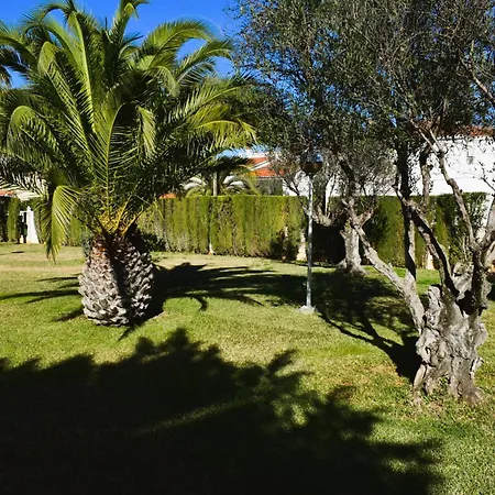 Apartament Estudio Con Piscina A 80 Metros De La Playa Les Deveses -