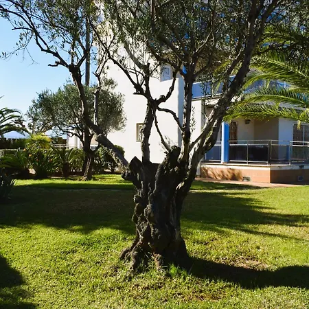 Estudio Con Piscina A 80 Metros De La Playa Les Deveses - Apartament Denia